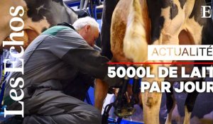 Au Salon de l'Agriculture, la traite des vaches ne s'arrête pas