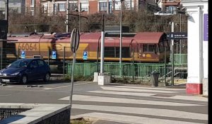 Saint-Just-en-Chaussée. Un homme de 20 ans se jette contre un train