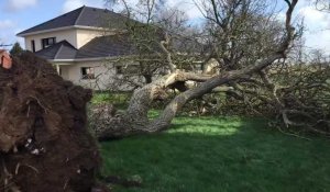 Arrageois: vents violents à Simencourt