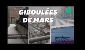 Les images de l&#39;Est de la France réveillé sous la neige