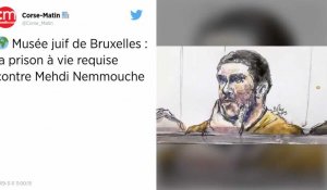 Tuerie du musée juif de Bruxelles. Medhi Nemmouche a pris une dernière fois la parole avant le verdict final