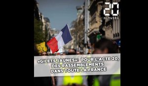«Gilets jaunes»: des rassemblements dans toute la France pour l'acte 20
