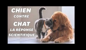 Voilà pourquoi vous préférez les chiens aux chats