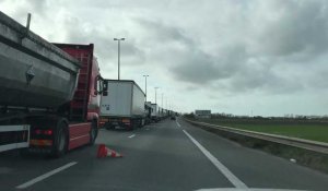 Calaisis : plus de deux cents camions à l'arrêt sur l'A16