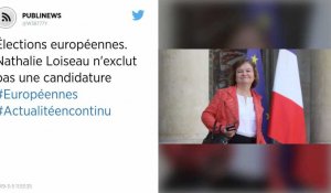 Élections européennes. Nathalie Loiseau n'exclut pas une candidature