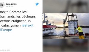 Brexit. Comme les Normands, les pêcheurs bretons craignent un « cataclysme »