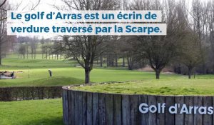 Le feuilleton du golf d'Arras