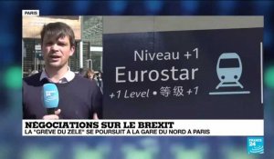 Négociations sur le Brexit : la "grève du zèle" se poursuit à la gare du Nord à Paris