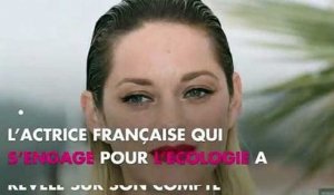 Marion Cotillard : Guillaume Canet "fier" de son nouveau projet