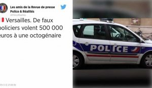 Yvelines. De faux policiers volent 500 000 euros de lingots d'or et bijoux chez une octogénaire