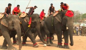 Vietnam: une course d'éléphants controversée