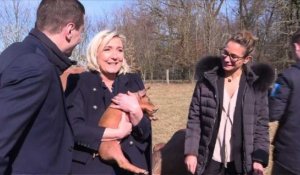 Marine Le Pen visite un élevage de cochons en Haute-Marne