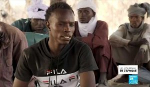 Au Tchad, les repentis de Boko Haram tentent de réintégrer la société