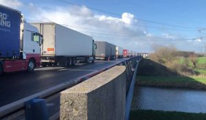 Calais - Des camions stockés sur l'autoroute A16