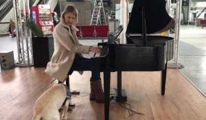 Only la chienne pour aveugle au piano de la gare Lille Europe