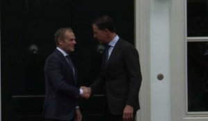 Pays-Bas : Tusk rencontre Rutte pour parler du Brexit