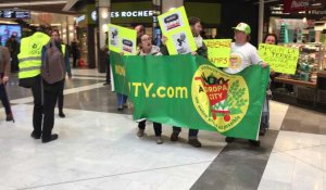 A Auchan V2, plusieurs collectifs ont manifesté contre le projet EuropaCity à Gonesse