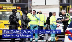 Fusillade à Utrecht : trois morts et plusieurs blessés