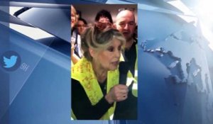 Brigitte Bardot soutient les gilets jaunes : son dernier geste fait sensation