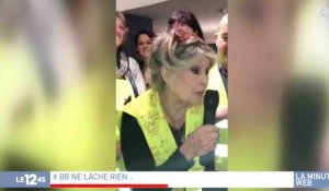 Brigitte Bardot fait une surprise aux gilets jaunes - ZAPPING ACTU DU 19/02/2019