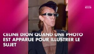 Céline Dion très amaigrie : les chroniqueurs de TPMP choqués réagissent