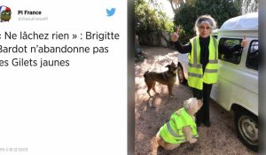 Gilets jaunes. Brigitte Bardot réaffirme son soutien lors d'une visite surprise dans le Var