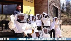 Les élèves marseillais à la découverte de la ruche