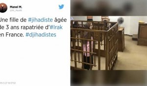Une fillette de 3 ans, enfant d'une djihadiste condamnée en Irak, rapatriée en France
