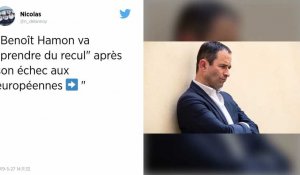 Nettement battu aux européennes, Benoît Hamon disparaît des écrans