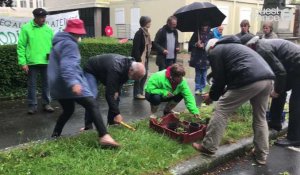 A Coutances, les Coquelicots jouent aux jardiniers devant la sous-préfecture