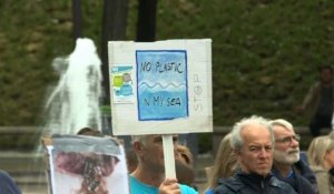 Journée mondiale de l'océan: manifestation en bleu à Paris