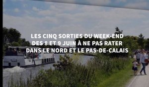Les cinq sorties du week-end des 8 et 9 juin à ne pas rater dans le Nord et le Pas-de-Calais
