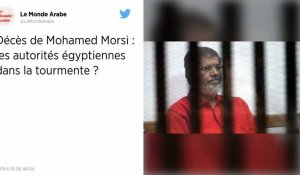 Égypte. Le pouvoir accuse l'ONU de vouloir « politiser » la mort de Mohamed Morsi