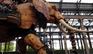 Grand Éléphant des Machines de l'île à Nantes