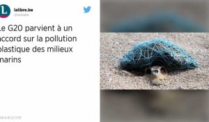 Pollution. Un accord passé entre les pays du G20 pour réduire les déchets plastiques en milieu marin