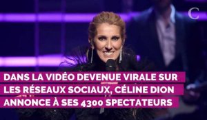 VIDEO. Céline Dion interrompt son concert... pour un fan victime d'une envie pressante !