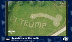 Les dessins étonnants d'un agriculteur Anglais pour accueillir Donald Trump 