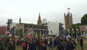 Manifestation anti-Trump autour du Parlement britannique