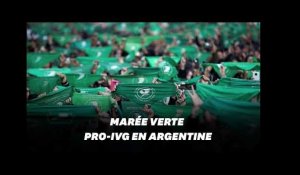 En Argentine, la &quot;marée verte&quot; se poursuit en faveur de l&#39;avortement