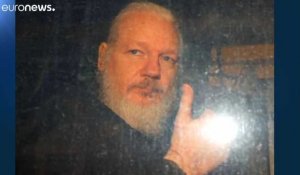 Décision en 2020 sur l'éventuelle extradition d'Assange vers les Etats-Unis