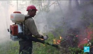 Feux de forêt en Sibérie : l'armée mobilisée pour aider les pompier