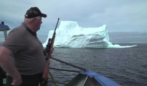La ruée vers l'or blanc des chasseurs d'icebergs canadiens