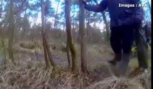 Cinq suiveurs de chasse à courre condamnés en Bretagne après avoir agressé des membres d'AVA en février