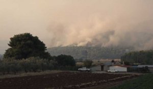 "Catastrophe écologique" sur l'île grecque d'Eubée ravagée par les flammes