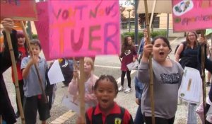 Des enfants de Valenciennes manifestent pour l'environnement