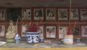 Vietnam: prières et saucisses dans un cimetière animalier