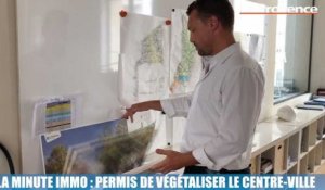 La Minute Immo : permis de végétaliser le centre-ville