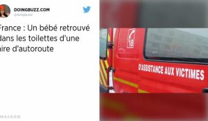 Hérault : Elle accouche sur une aire d'autoroute, le bébé retrouvé dans les toilettes