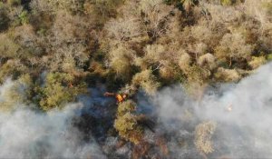 Images de feux de forêt en Bolivie