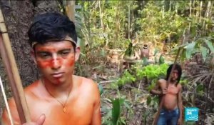 Les populations indigènes vivant en Amazonie, menacés par la déforestation